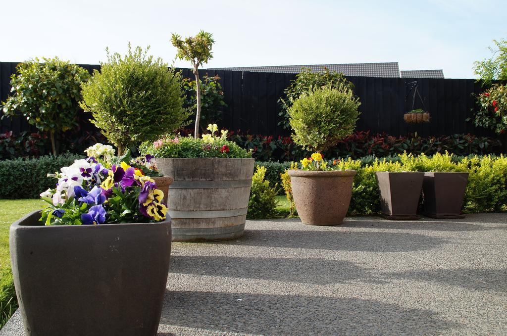Olive House Bed And Breakfast Christchurch Exteriér fotografie