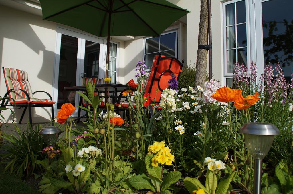 Olive House Bed And Breakfast Christchurch Exteriér fotografie