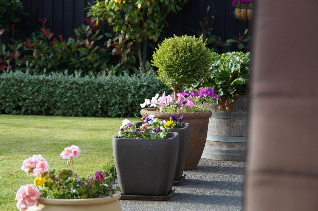 Olive House Bed And Breakfast Christchurch Exteriér fotografie