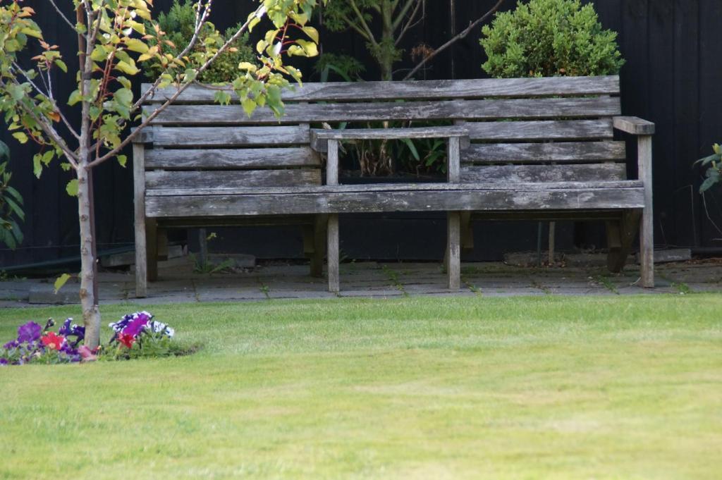 Olive House Bed And Breakfast Christchurch Exteriér fotografie